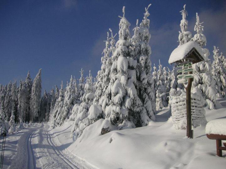 Silva - Oberhof Hotel Oberhof (Thuringia)